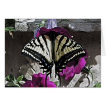 Butterfly Visits cards