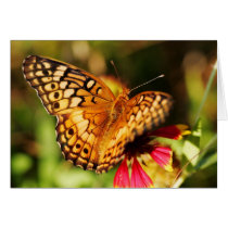 Butterfly & Wildflower cards