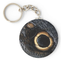 butterfly wing key chain