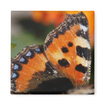 Butterfly Wing Magnet