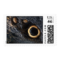 butterfly wing postage stamp