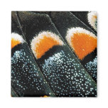 Butterfly wing scale pattern magnets