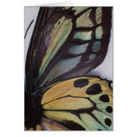 Butterfly Wings Blank Card