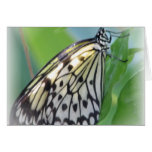 Butterfly Wings Greeting Card
