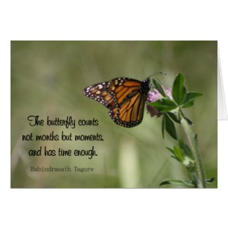 Butterfly Wisdom: Count Not Months But Moments Greeting Cards
