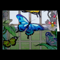 Butterfly World cards by JimCherryPix Butterfly World cards