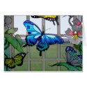 Butterfly World cards