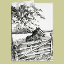 "Butterknowes Mare" cards