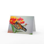 Butterly &amp; Flower Designer Note Cards
