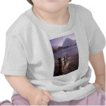 Buttermere in The Lake District England Tees