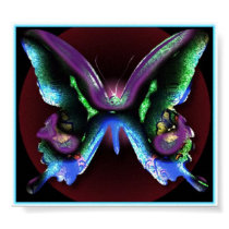 Butteryfly posters