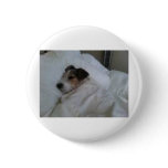 Button Button