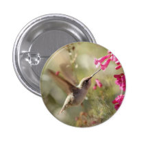 Button_Anna Hummingbird