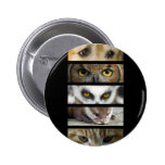 Button Badge - Animals Eyes