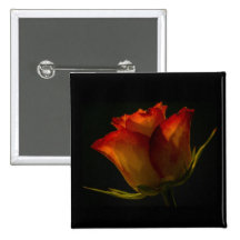 Button Badge - Orange & Yellow Rose