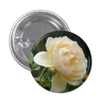 Button - Beautiful Rose buttons