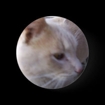 Button Blond Cat Head