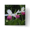 Button-Lady Slipper Orchids