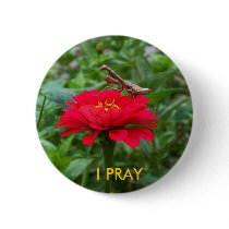 Button/Praying Mantis & Zinnia by smclayton Button/Praying Mantis & Zinnia