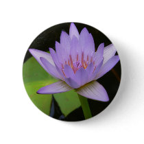 Button, Soft Lavender Water Lily 300 by posyrosie Button, Soft Lavender Water Lily 300
