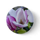 Button, Two Magnolias, Open and Shut"