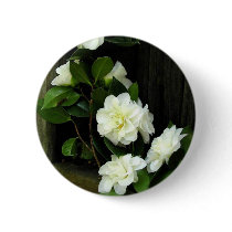 Button, "White Camellias" -#3P by Florabunda Button, "White Camellias" -#3P