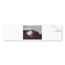 Buttons Bumper Sticker