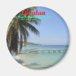 Buttons of Roatan, Bay Islands, Honduras Fridge Magnets