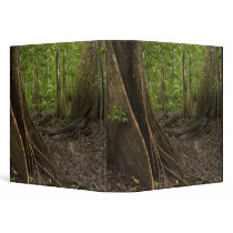 Buttress Roots. Rainforest, Mapari Rupununi, 2 3 Ring Binders