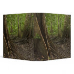 Buttress Roots. Rainforest, Mapari Rupununi, 2 binders