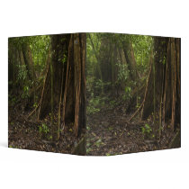 Buttress Roots. Rainforest, Mapari Rupununi, Vinyl Binder