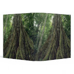 Buttressed tree in rainforest, Corcovado 3 Ring Binders