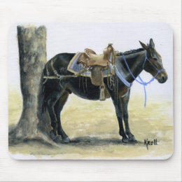 Missouri Mules