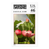 Buu Mon Temple Garden Lotus postage by buumontemple Buu Mon Temple Garden Lotus postage