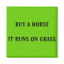 BUY A HORSE - magnet