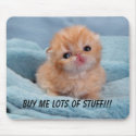 Buy for the cute kitten mousepads by maryannsjeep Buy for the cute kitten mousepads