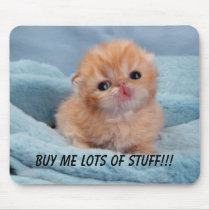 Buy for the cute kitten mousepads