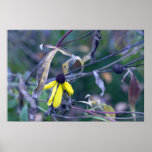 Buy Original Art Photography Prints
