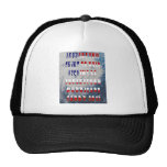 Buy this shirt and help superstorm victims! mesh hat