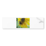 Buzy Bloom bumper stickers