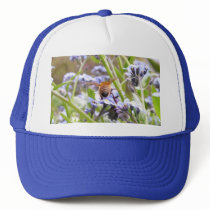 Buzz!  Busy Bee Backside Hats