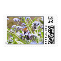 Buzz!  Busy Bee Backside Postage Stamps