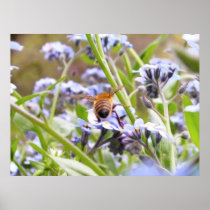 Buzz!  Busy Bee Backside Print