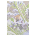 Buzz!  Busy Bee Backside stationery