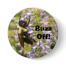 Buzz Off! buttons