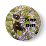 Buzz Off! Pinback Buttons