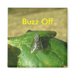 Buzz Off Magnets