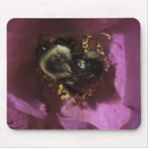 Buzz Off! mousepads