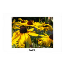 Buzz posters