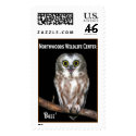 'Buzz' Saw-whet Owl postage